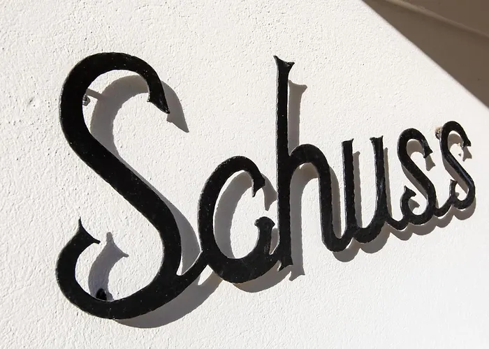 Le Schuss 1 By Interhome Διαμέρισμα Gryon